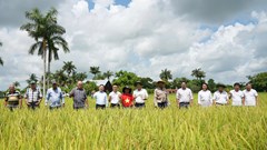 Hành trình gieo “Hạt giống hạnh phúc”