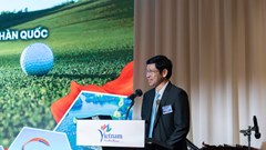 Cây cầu kết nối tâm hồn và văn hóa Việt – Hàn