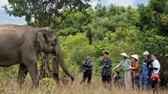 Câu chuyện về người con Tây Nguyên và ước mơ làm du lịch cộng đồng