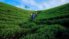 Du lịch cộng đồng đồng hành cùng người dân Thái Nguyên giảm nghèo