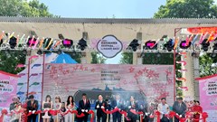 Cầu nối văn hóa Việt Nam - Nhật Bản