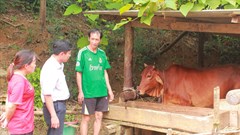 Thái Nguyên phân bổ nguồn lực, đẩy mạnh thực hiện mục tiêu giảm nghèo bền vững