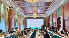 Nghiên cứu mô hình dữ liệu kinh tế sáng tạo WIPO, thúc đẩy phát triển công nghiệp văn hóa tại Việt Nam