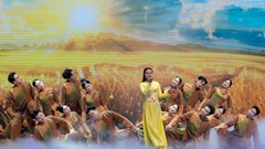 Khúc ca sáng tạo và khát vọng vươn lên của nông nghiệp Việt