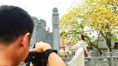 Người Hà Nội đi “săn” ảnh hoa bún chỉ nở một lần trong năm