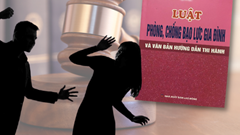 Triển khai thi hành Luật Phòng, chống bạo lực gia đình