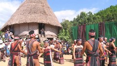 Tổ chức Ngày hội Văn hoá các dân tộc Việt Nam tại tỉnh Quảng Trị