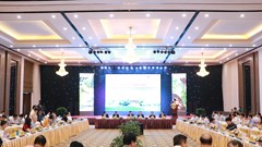 Quản lý và phát triển thành phố di sản