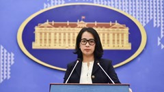 Việt Nam quan ngại sâu sắc trước thông tin về vụ việc tại khu vực Bãi Cỏ Mây