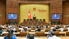 Bao quát nhưng không bỏ lọt những vấn đề cụ thể trong thực tiễn