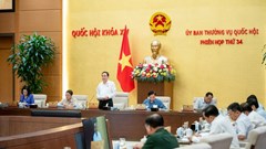 Xem xét nhiều vấn đề quan trọng