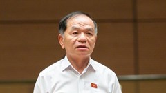 Thường vụ Quốc hội đồng ý khởi tố, bắt tạm giam, tạm đình chỉ nhiệm vụ đại biểu Quốc hội Lê Thanh Vân