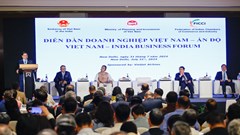 Thủ tướng dự Diễn đàn Doanh nghiệp Việt Nam - Ấn Độ