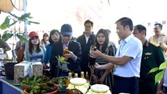 Xúc tiến du lịch khu vực Tây Nguyên nhân dịp tổ chức Festival sâm Ngọc Linh - Kon Tum lần thứ Nhất, năm 2024