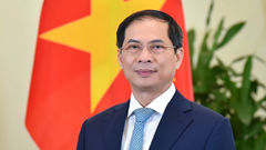 Bộ trưởng Bộ Ngoại giao Bùi Thanh Sơn được phê chuẩn bổ nhiệm giữ chức Phó Thủ tướng Chính phủ