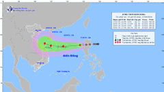 Chủ động ứng phó áp thấp nhiệt đới có khả năng mạnh lên thành bão
