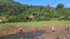 Chính phủ ban hành 6 nhóm nhiệm vụ, giải pháp trọng tâm khắc phục hậu quả bão số 3