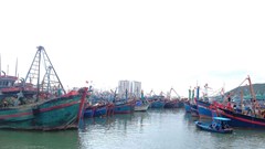 Đề nghị các nước hỗ trợ ngư dân, tàu thuyền của Việt Nam trú tránh bão số 4