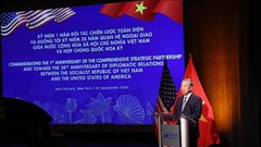 Tiếp tục đưa quan hệ Việt Nam - Hoa Kỳ ngày càng phát triển ổn định, thực chất