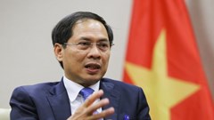 Góp phần đưa quan hệ giữa Việt Nam với Mông Cổ, Ireland, Pháp đi vào chiều sâu, thực chất, hiệu quả