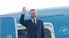 Tổng Bí thư, Chủ tịch nước Tô Lâm sẽ thăm cấp Nhà nước tới Mông Cổ, Ireland, tham dự Hội nghị cấp cao Pháp ngữ và thăm chính thức Pháp