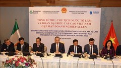 Tổng Bí thư, Chủ tịch nước Tô Lâm gặp mặt doanh nghiệp Ireland