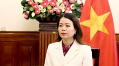 Tiếp tục khẳng định vị thế, vai trò, tầm vóc của Việt Nam đối với các vấn đề phát triển của nhân loại