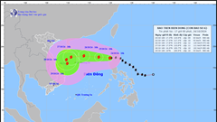 Chủ động ứng phó với bão TRAMI