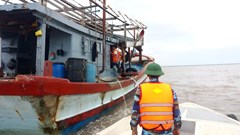 Xử lý dứt điểm tàu cá "3 không" trước ngày 20.11.2024