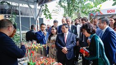  Thủ tướng dự Chương trình “Ngày Việt Nam tại Brazil”