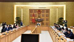 Phát triển văn hóa là kiến tạo, củng cố đời sống, niềm tin trong nhân dân