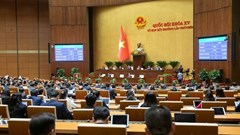 Thủ tướng chỉ đạo triển khai Nghị quyết của Quốc hội về xử lý một số vấn đề liên quan đến sắp xếp tổ chức bộ máy