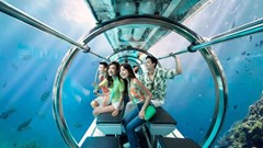 Quy định mới về quản lý tàu lặn hoạt động du lịch 