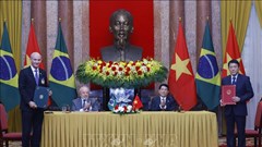 Chủ tịch nước Lương Cường hội đàm với Tổng thống Brazil