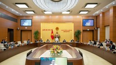 Cho ý kiến về việc sửa Hiến pháp và sắp xếp bộ máy hành chính