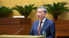 Phát biểu của Tổng Bí thư Tô Lâm tại Hội nghị toàn quốc quán triệt, triển khai Nghị quyết Trung ương 11