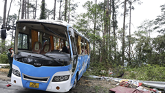 Điều tra, làm rõ nguyên nhân và xử lý nghiêm vi phạm