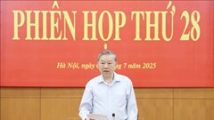 Kịp thời phát hiện, xử lý các sai phạm liên quan đến sắp xếp tổ chức bộ máy