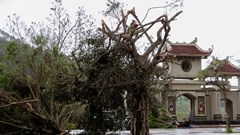 Khẩn trương hỗ trợ nhân dân khắc phục hậu quả bão số 10 và mưa lũ