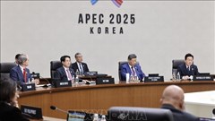 Chuyến công tác của Chủ tịch nước thành công tốt đẹp với nhiều dấu ấn quan trọng