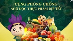 Tuyên truyền bảo đảm an toàn thực phẩm, xây dựng môi trường văn hoá lành mạnh dịp Tết Nguyên đán và Lễ hội Xuân 2026