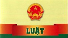 Bảo đảm thống nhất và chặt chẽ, hiệu quả trong việc triển khai thi hành Luật Quảng cáo