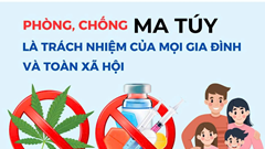 Triển khai thi hành Luật Phòng, chống ma tuý