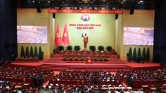 Chỉ thị 01 của Bộ Chính trị: Tiến hành ngay, đồng bộ việc học tập, quán triệt triển thực hiện Nghị quyết Đại hội Đảng