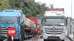 Tạm dừng áp dụng Nghị định số 46 về an toàn thực phẩm 