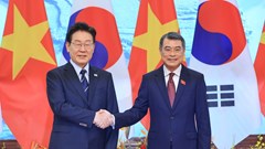 Thủ tướng Lê Minh Hưng hội kiến Tổng thống Hàn Quốc