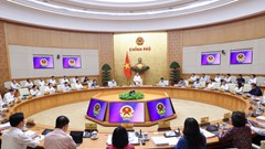 Khẩn trương hoàn thành việc sắp xếp tổ dân phố, thôn, bản và các đơn vị sự nghiệp công lập