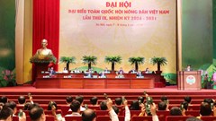 Gần 600 đại biểu dự Đại hội đại biểu toàn quốc Hội Nông dân Việt Nam lần thứ IX
