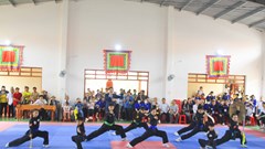 Bình Định hỗ trợ kinh phí các lò võ, võ đường, câu lạc bộ Võ cổ truyền