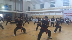 Hơn 120 HLV, trọng tài, võ sư tập huấn chuyên môn võ cổ truyền